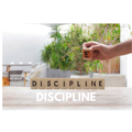 DISCIPLINA PARA CREAR EN EL CAMPO CUÁNTICO